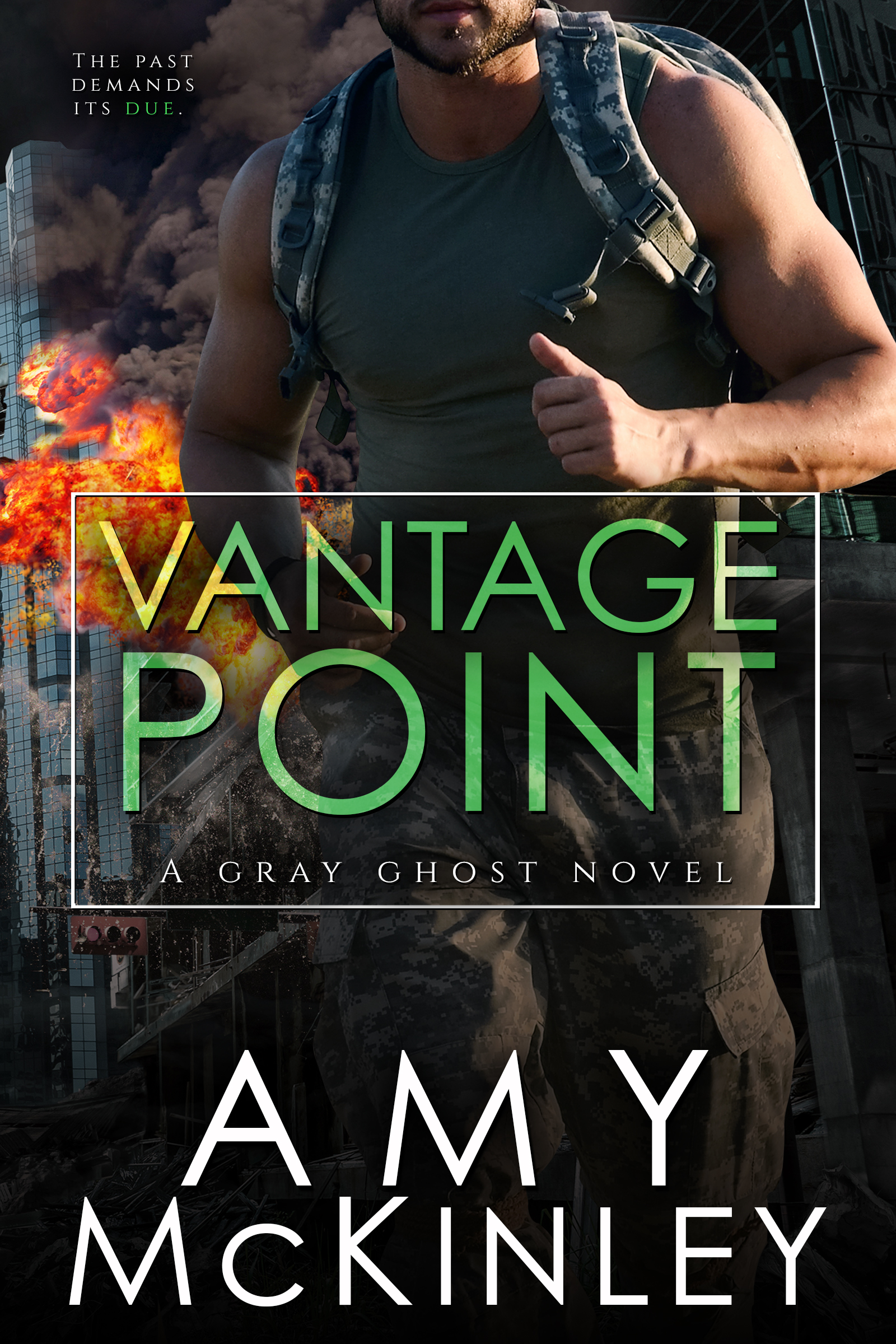 Vantage Point Amy Mckinley E-Cover.jpg