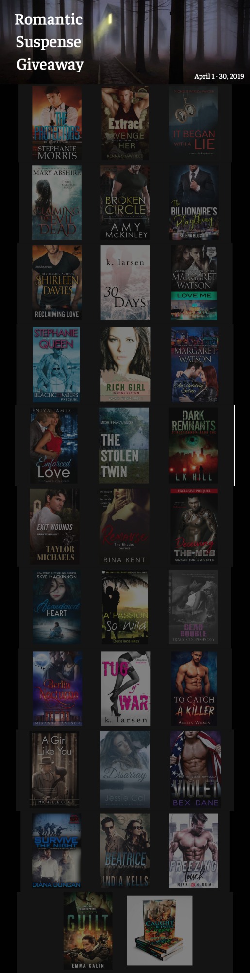 bookfunnel promo picture 2